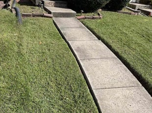 Bush Trimming by Reginald Blue for Melissa D. in Joppatowne, MD