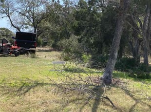 Bush Trimming by Keily Delgado Preciado for Dave S. in Jonestown, TX