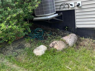 Weeding by Jeffrey Curran for Gloria M. in Shakopee, MN