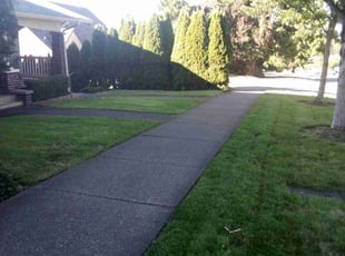 Leslie A.'s Lawn Care service result