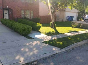 Nikki C.'s Yard Cutting service result