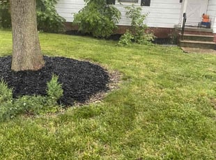 Mulching by Kenneth Lagger for "Brandy R. in Toledo, OH