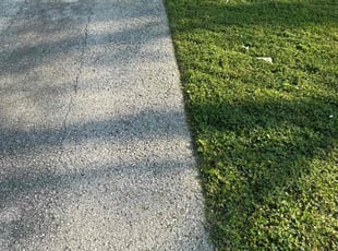 Gwen F.'s Lawn Service service result