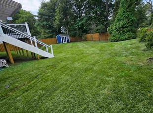 Patty E.'s Lawn Care service result