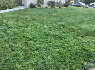 Mike S.'s Yard Cutting service result