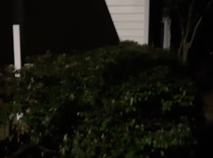 Bush Trimming by Bryan Elliott for Michael A. in McDonough, GA