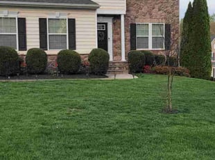 Meredith S.'s Lawn Mowing service result