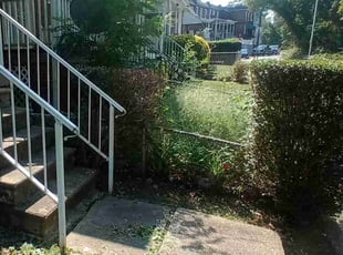 Bush Trimming by Carvell Smith for Lance T. in Baltimore, MD