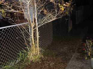 Bush Trimming by Jennifer Vinson for Lisa S. in Jacksonville, FL