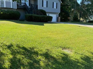 Eric C.'s Yard Cutting service result