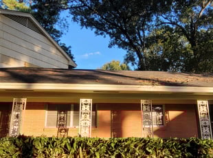 Cleanups by Francisco Prado for Elaine P. in Houston, TX
