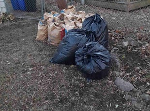 Leaf Removal by Cisco Harris for Jaimie M. in Kansas City, MO