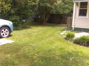 Bush Trimming by Christopher Lawrence for Trisha F. in Virginia Beach, VA