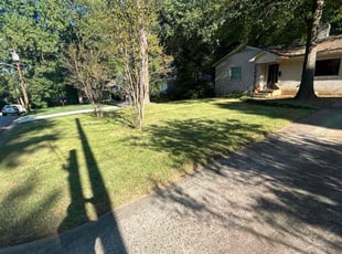 ADLAI C.'s Lawn Service service result