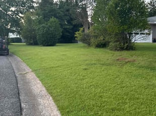 Vasile G.'s Lawn Mowing service result