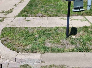 Cleanups by Kevin (Jesus) Valencia for Nathan S. in Denton, TX
