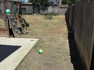 Cleanups by Angel Mata for Reiven R. in San Diego, CA