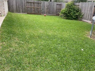 Angela S.'s Lawn Mowing service result