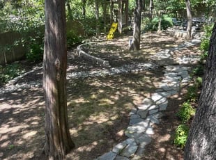 Weeding by Rhett Lambas for Leasing T. in Grapevine, TX