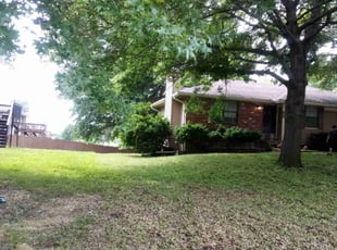 Leaf Removal by Amanda Fogel for Sandy A. in Blue Springs, MO