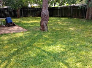Cris P.'s Grass Cutting service result