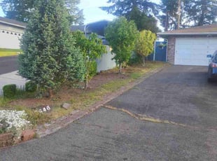 Bush Trimming by Ronnie Smith II for Maricel L. in Lakewood, WA