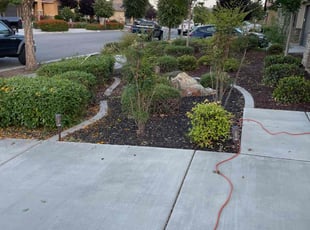 Bush Trimming by Nicholas Krahling for Jennifer C. in San Jacinto, CA
