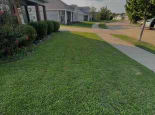 Rachael L.'s Yard Cutting service result
