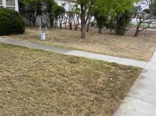 Bush Trimming by David Morgan for Gloria L. in Bakersfield, CA