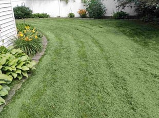 Ross C.'s Grass Cutting service result