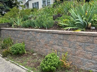 Cleanups by Jovan Barber for Paul L. in Kearny, NJ