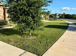 Megan F.'s Lawn Service service result