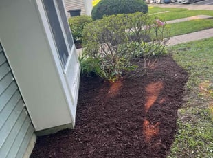 Cleanups by Gilbert Osorio for Jennifer R. in Woodbridge, VA