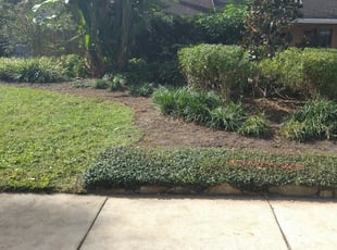 Weeding by Ashanti Tyler for Jessie H. in Orlando, FL
