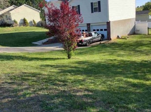 Demetrius W.'s Lawn Maintenance service result