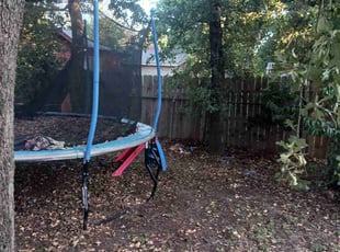 Cleanups by Gralin Johnson for Shanee M. in Fort Worth, TX