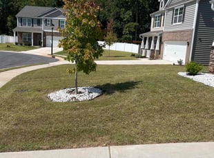 Samuel M.'s Lawn Care service result