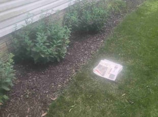 Weeding by Charles Boltenhouse for Rachel S. in Westerville, OH