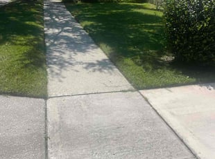 melissa l.'s Lawn Mowing Service service result