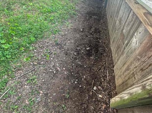 Leaf Removal by Edgar Elmore for Melani D. in Washington, DC