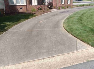 Alex D.'s Lawn Mowing Service service result