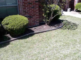 Aeration by Amy Delarosa for Margaret J. in Sherman, TX