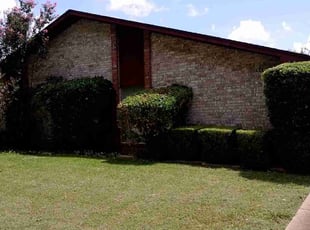 Bush Trimming by Valentina Toledo for Dani R. in DeSoto, TX