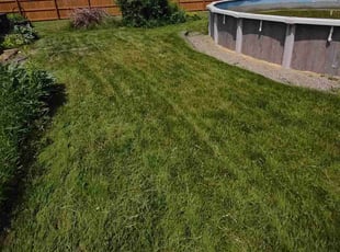 Cleanups by Robert Dukes for Lauren D. in Rochester, NY