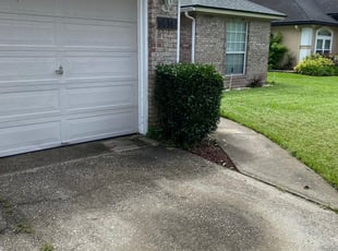 Bush Trimming by Gerrad Peterson for Satonya F. in Jacksonville, FL