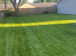 Mark W.'s Grass Cutting service result