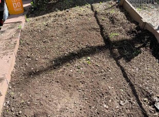 Weeding by Eugenio Pérez for Patrick D. in Denver, CO