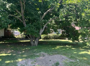 Bush Trimming by Clay Allen for Kevin R. in Indianapolis, IN