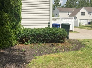 Landscaping by Kayden Conn for Liding Y. in Dublin, OH
