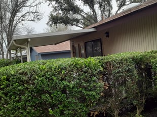 Bush Trimming by Jeffrey Davis for Joe K. in San Antonio, TX